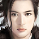 杨磊